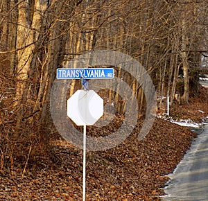 Transylvania Road side natural