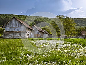 Transylvanian countryside in the spring.