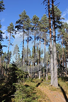 Trap Cavern In Sweden