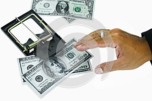 Trap with dollar bills isolated over white background, Risk in business, Businessman taking money from a mousetrap