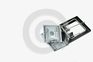 Trap with dollar bills isolated over white background, Risk in business, Businessman taking money from a mousetrap