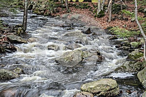 trap falls brook flowing through the forest