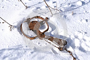 Trap set by a trapper in the winter