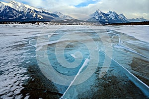Trapped methane bubbles frozen into the water under the thick cracked and folded ice on Abraham Lake, located in the Kootenay