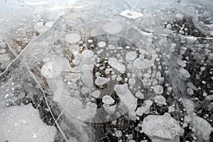 Trapped methane bubbles frozen into the water under the thick cracked and folded ice on Abraham Lake, located in the Kootenay