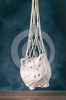 Trapped piggy bank in net
