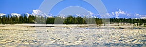 Trapper Creek and Mount McKinley, photo