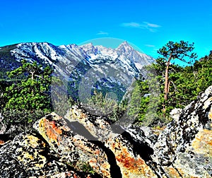 Trapper Peak, Bitterroot Mountains, Montana. photo