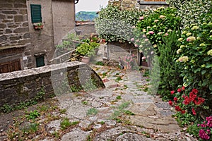 Trappola, Loro Ciuffenna, Arezzo, Tuscany, Italy: old alley with flowers and plants