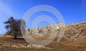 Trascau Mountains,Romania