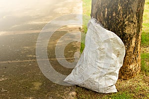 Trash bag in the Park andsun light