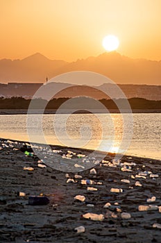 Trash beach of the big city. Empty used dirty plastic bottles. Dirty sea sandy coast of the Red Sea. Ecological problem.