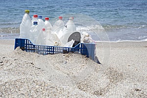 Trash in the beach,plastic photo