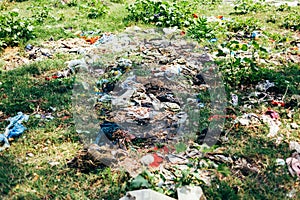 Trash disposed in garden