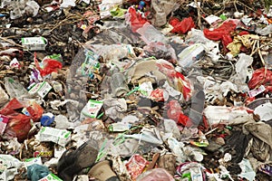 Trash dump outside a small village in southern China