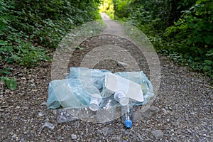 Trash in the forest