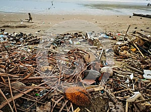 Trash-Infested Beaches: The Devastating Impact of Waste Accumulation on Coastal Sands