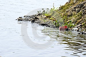 Trash and nature in South American riverside