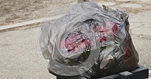 Trash packed in black plastic bag overfilled street trash bin on wind