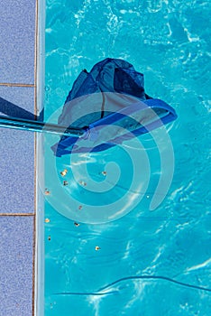 Trash in pool and net cleaner close up