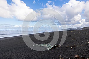 Trash in the sand, plastic waste by the ocean, sad and unsustainable photo