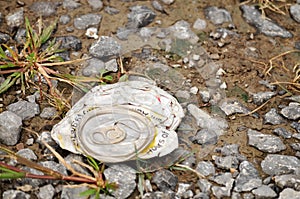 Trash thrown on the landscape causing harm to the environment