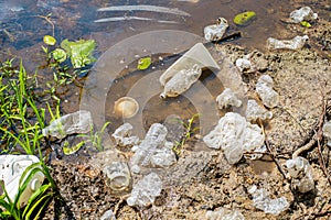 Trash and used plastic bottles in the river. Garbage near lake. Environmental pollution. Ecological