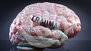 Trauma and a human brain