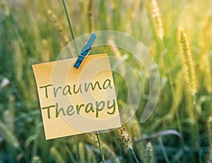 Trauma Therapy