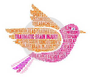 Traumatic Brain Injury Word Cloud