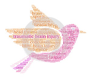 Traumatic Brain Injury Word Cloud