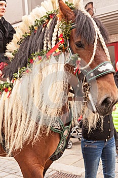 Traunstein/Deutschland/Bavaria - 06th of April: decorated horse by the Georgi's ride in Traunstein