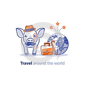 Travel around the world concept, tourism services, pig with baggage