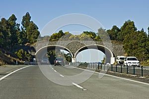 Travel Australia - A wildlife bridge - Sleepy Hollow NSW.