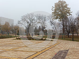 Travel through the autumn park in the city, watching the natural changes, plunging into the daytime fog and enjoying the communica