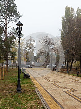 Travel through the autumn park in the city, watching the natural changes, plunging into the daytime fog and enjoying the communica