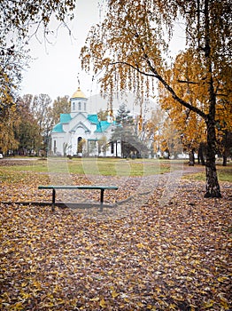 Travel through the autumn park in the city, watching the natural changes, plunging into the daytime fog and enjoying the communica