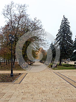 Travel through the autumn park in the city, watching the natural changes, plunging into the daytime fog and enjoying the communica