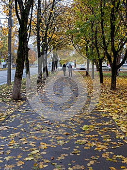 Travel through the autumn park in the city, watching the natural changes, plunging into the daytime fog and enjoying the communica