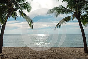 Travel background beautiful sand beach with palm tree and sea. i