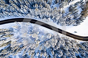 Travel background. Black road in white forest covered with snow. Aerial drone view.