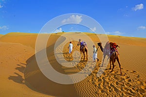 Travel background - Two cameleers with camels walking on golden sand dunes of thar desert against blue sky , Jaisalmer, Rajasthan