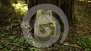 Travel backpack near wooden tree in the forest. Outdoor wanderlust items. Travel, tourism and camping equipment.