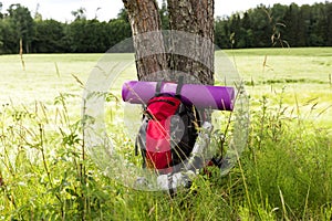 Travel backpack by the tree. Outdoor wanderlust items. Travel, tourism and camping equipment. Summer hiking and trekking tools photo