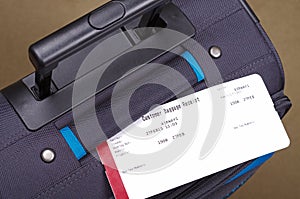 Travel bag and baggage tag