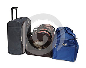 Travel bags and pet carrier