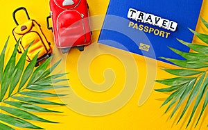 Travel concept with biometric international passport, palm leafs, miniature baggage