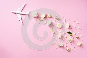 Travel concept with white plane and flowers, petals on pink background. Top view, flat lay. Copy space. Trip, vacation concept