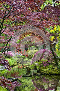Travel Concepts. Amazing Iconic Red Bridge and Scenery of Japanese Garden photo
