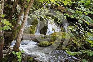 Travel in Croatia, Plitvice Lakes